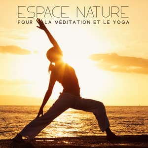 Espace nature pour la méditation et le yoga: Compilation de sons New Age relaxants et paisibles - Musique Coeur de la Nature