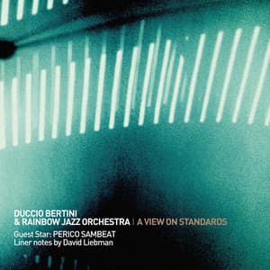 A View on Standards - Duccio Bertini