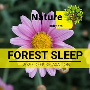 Forest Sleep - 2020 Deep Relaxation - Meditation Atmospheres