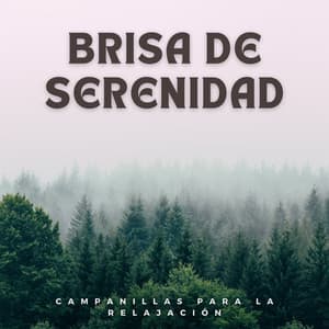 Brisa De Serenidad: Campanillas Para La Relajación - Cuatro Vientos