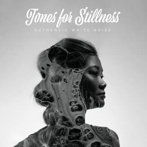 Tones for Stillness - Authentic White Noise