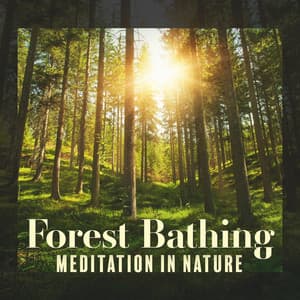 Forest Bathing: Meditation in Nature - Jasmine Soft