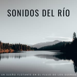 Sonidos Del Río: Un Sueño Flotante En El Flujo De Los Sueños - Paisajes sonoros de agua