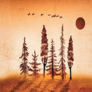 Collection Of Soothing Classical Lullabies To Listen To When Sleeping 3 - Anastasia Lee