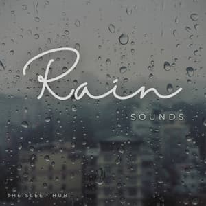 Rain Sounds - The Sleep Hub