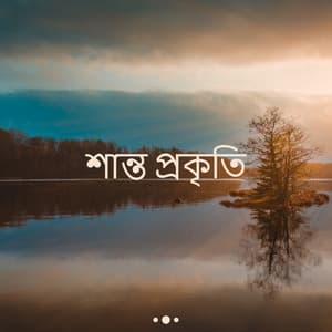 শান্ত প্রকৃতি: বন, নদী, পাখি, মহাসাগর, বৃষ্টি - Serenity Nature Sounds Academy