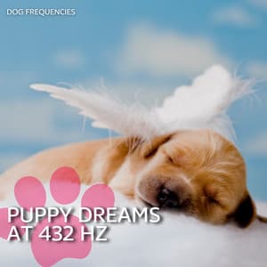 Puppy Dreams at 432 Hz - Dog Frequencies