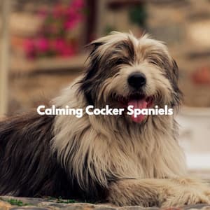 Calming Cocker Spaniels - Jazz Animada para Cafeterías
