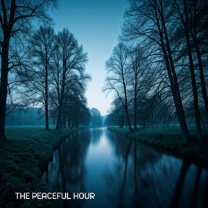 The Peaceful Hour: Quiet Soundscapes for Calming Sleep - Mindfulness Mind Body Space