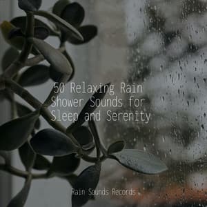 50 Relaxing Rain Shower Sounds for Sleep and Serenity - Guided Meditation