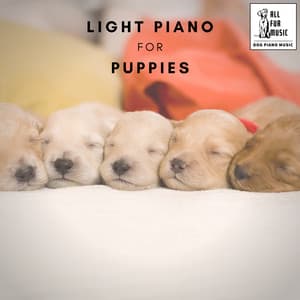 Light Piano for Puppies - Jingle Cats