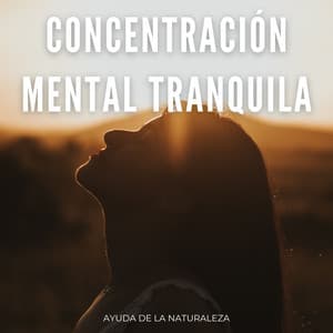 Concentración Mental Tranquila: Ayuda De La Naturaleza - El Proyecto Naturaleza