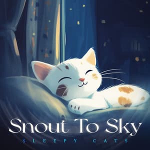 Snout To Sky - Sleepy Cats