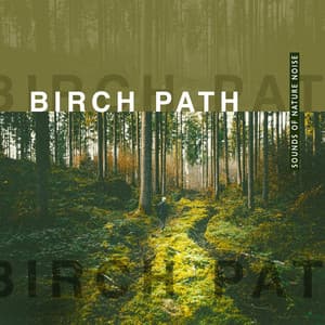 Birch Path - Sounds of Nature Noise