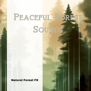 Peaceful Forest Sounds - Natural Forest FX