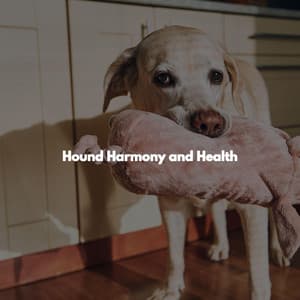 Hound Harmony and Health - Cozy Coffee Shop Jazz