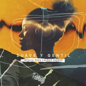 Suave y gentil - Música para calmar perros