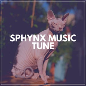 Sphynx Music Tune - Music for Cats Peace
