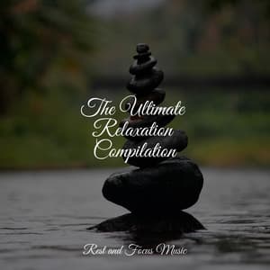 The Ultimate Relaxation Compilation - Deep Focus