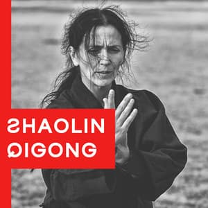 Shaolin Qigong - George Woode