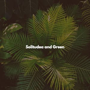 Solitudea and Green - Lavoro da Casa Play List