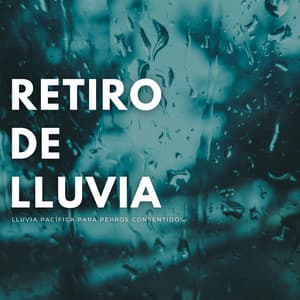 Retiro De Lluvia: Lluvia Pacífica Para Perros Consentidos - Lluvia relajarse