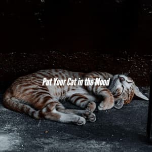 Put Your Cat in the Mood - Easy Listening Instrumental Music