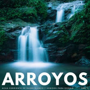 Arroyos: Agua Corriente De Ruido Blanco Y Sonidos Para Dormir Vol. 1 - Vibraciones de la Naturaleza