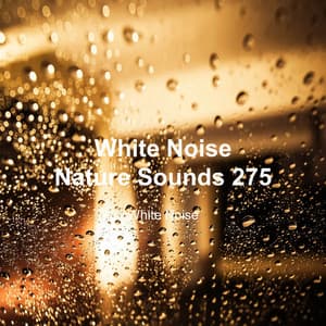 White Noise 275 - White Noise