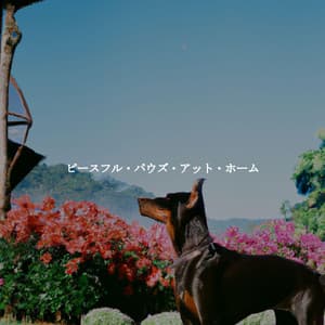 ピースフル・パウズ・アット・ホーム - Soft Jazz Classics