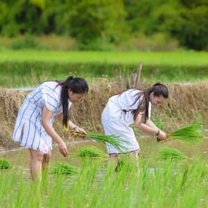 Rainy Chill: Relax at Work with a Binaural Soundscape - The Binaural Beats Factory