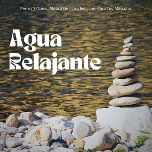 Perros Y Gatos: Música De Agua Relajante Para Tus Mascotas - Banco de sonidos de agua
