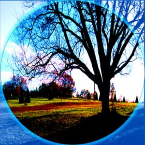 Soothing Background Ambiance - Real White Noise