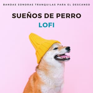 Sueños De Perro Lofi: Bandas Sonoras Tranquilas Para El Descanso - Ritmo de hip-hop lofi