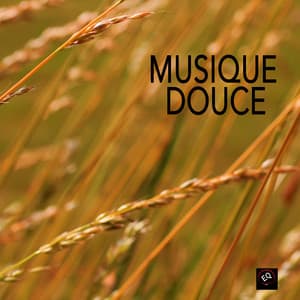 Musique Douce - Anne de l'Aube