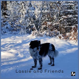 Three Dogs at Rest - Lassie and friends