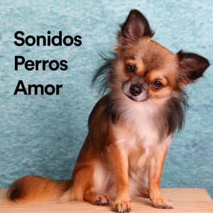 Sonidos Perros Amor - Sonidos Perros Amor