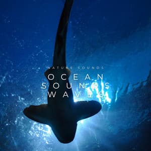 Nature Sounds Ocean Sounds Waves - Beach Sounds and Ocean Waves