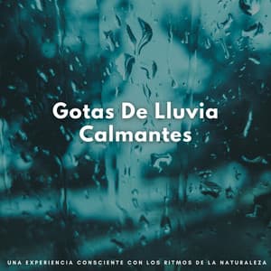 Gotas De Lluvia Calmantes: Una Experiencia Consciente Con Los Ritmos De La Naturaleza - Palacio de la lluvia