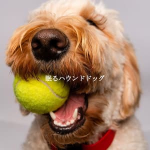 眠るハウンドドッグ - Musique de Fond Jazz