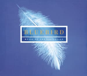 Bluebird - Music Of Contemplation - Choir of New College, Oxford