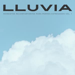 Lluvia: Momentos Reconfortantes Para Perros Estresados Vol. 1 - Colectivo De Música Para Perros
