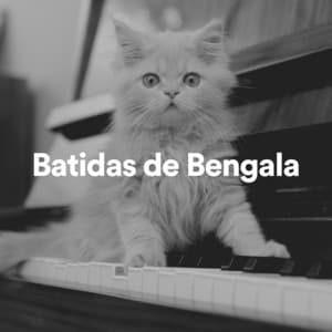 Batidas de Bengala - Musica para Gatos