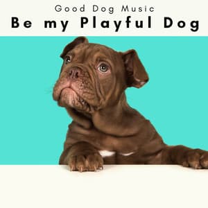 2 0 2 3 Be my Playful Dog - Good Dog Music