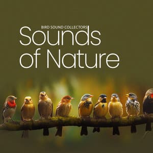 Sounds of Nature - Bird Sound Collectors