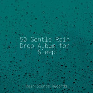 50 Gentle Rain Drop Album for Sleep - Calming Sounds
