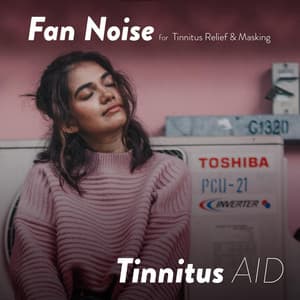 Fan Noise for Tinnitus Masking - Tinnitus Aid