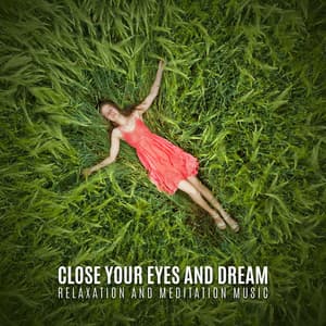 Close Your Eyes and Dream: Relaxation and Meditation Music - Easy Listening Relaxation Piano Radio
