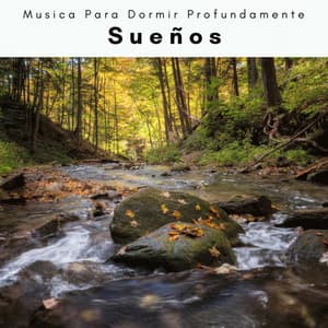 A h o r a: Sueños - Musica Para Dormir Profundamente