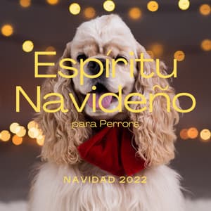 1 0 1 Espíritu Navideño - Perros que se Quedan en Casa